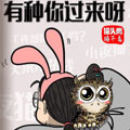 猫头鹰睡不着有种你过来呀 猫头鹰睡不着有种你过来呀